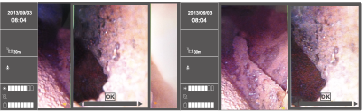 compare.png